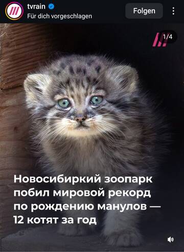 https://upforme.ru/uploads/001b/92/d8/1315/t801266.jpg