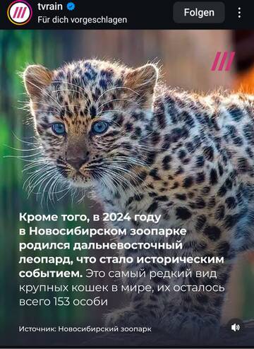 https://upforme.ru/uploads/001b/92/d8/1315/t851221.jpg