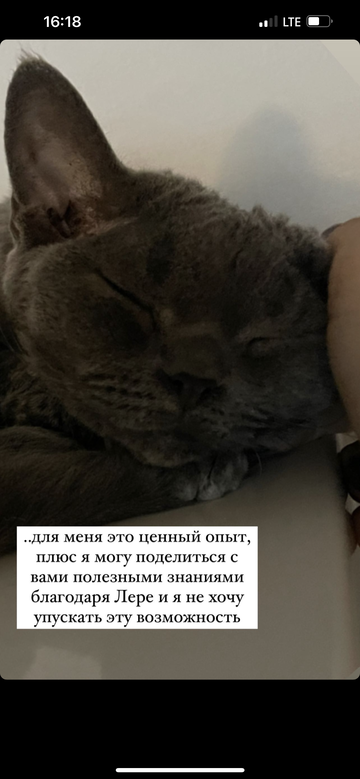https://upforme.ru/uploads/001b/92/d8/1355/t114368.png