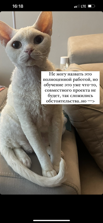 https://upforme.ru/uploads/001b/92/d8/1355/t400443.png