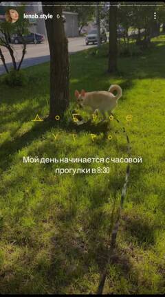 https://upforme.ru/uploads/001b/92/d8/136/t100070.jpg