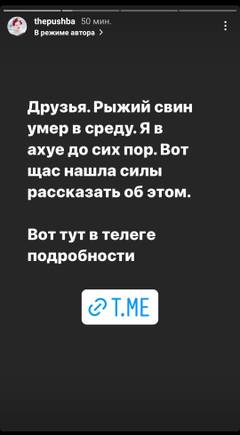 https://upforme.ru/uploads/001b/92/d8/136/t253603.jpg