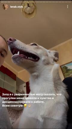 https://upforme.ru/uploads/001b/92/d8/136/t397786.jpg