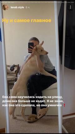 https://upforme.ru/uploads/001b/92/d8/136/t986992.jpg
