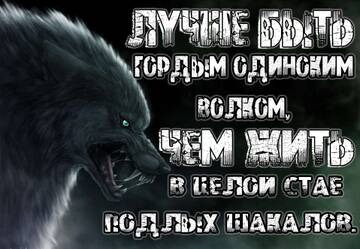 https://upforme.ru/uploads/001b/92/d8/1406/t337030.jpg