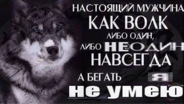 https://upforme.ru/uploads/001b/92/d8/1406/t405167.jpg