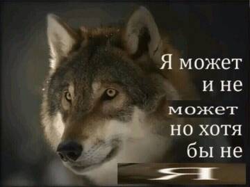 https://upforme.ru/uploads/001b/92/d8/1406/t497614.jpg