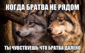 https://upforme.ru/uploads/001b/92/d8/1406/t589429.jpg