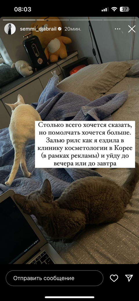 https://upforme.ru/uploads/001b/92/d8/1465/t15102.png
