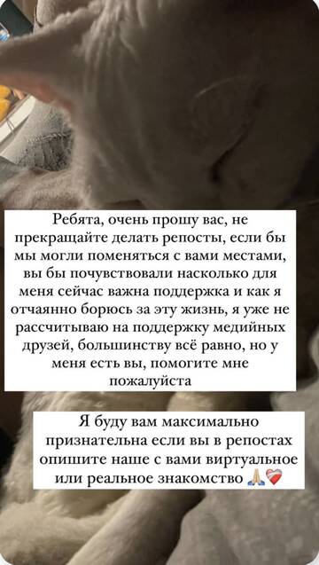 https://upforme.ru/uploads/001b/92/d8/1479/t311590.jpg
