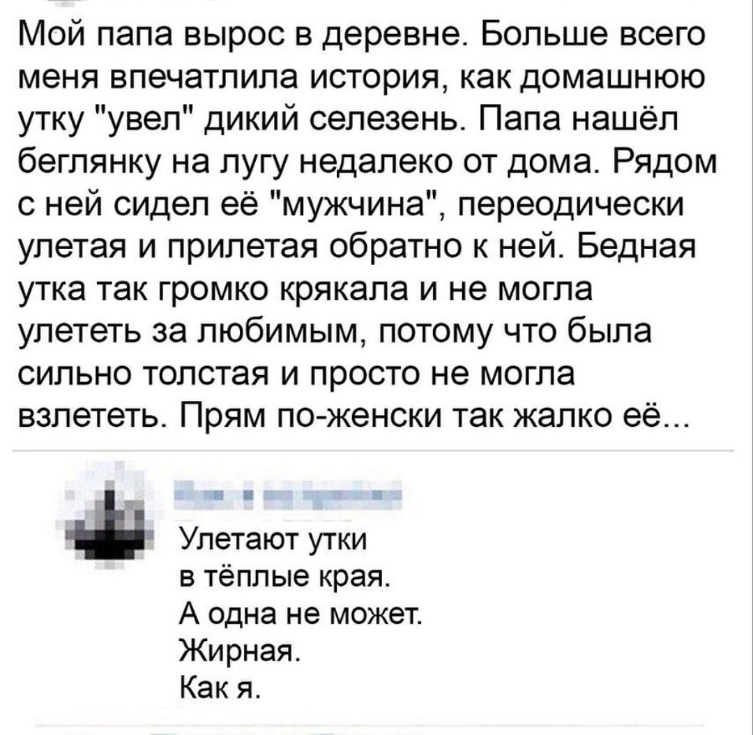 https://upforme.ru/uploads/001b/92/d8/151/319617.jpg