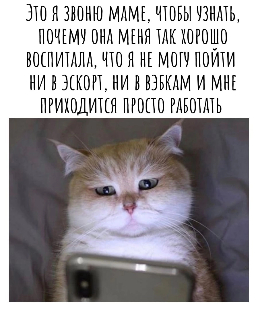 https://upforme.ru/uploads/001b/92/d8/151/432919.webp