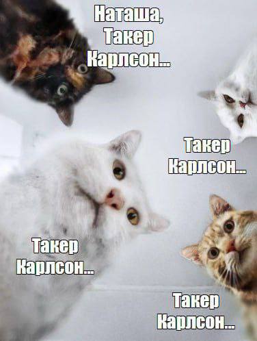 https://upforme.ru/uploads/001b/92/d8/151/568338.jpg