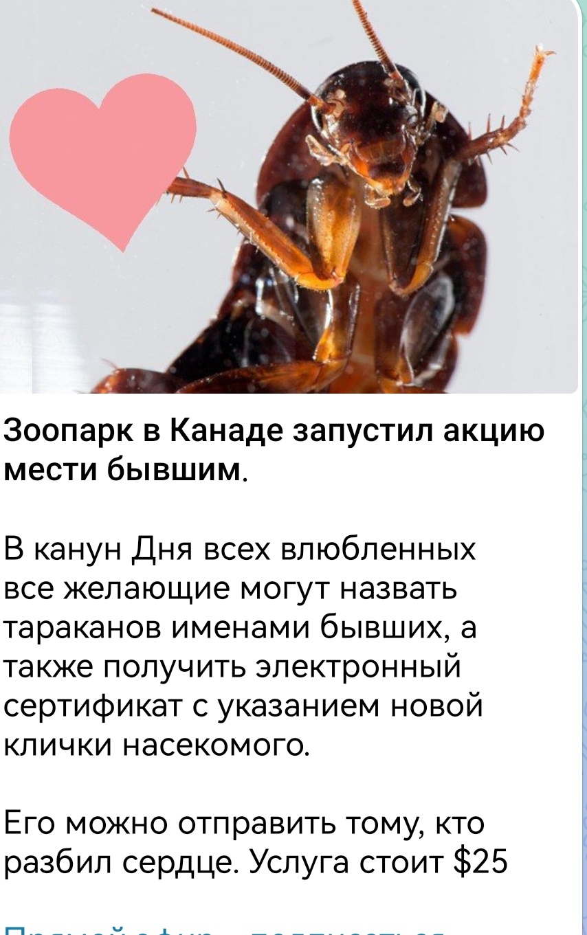 https://upforme.ru/uploads/001b/92/d8/151/715922.jpg