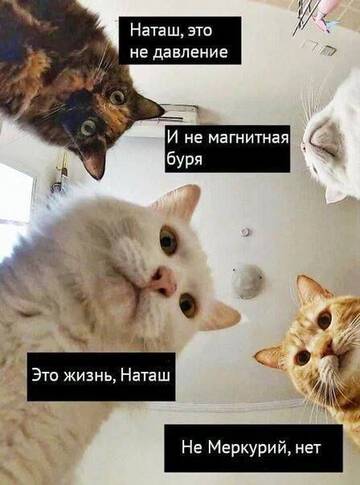 https://upforme.ru/uploads/001b/92/d8/151/t192055.jpg