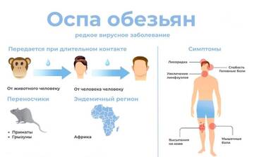 https://upforme.ru/uploads/001b/92/d8/151/t50964.jpg