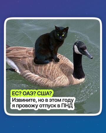 https://upforme.ru/uploads/001b/92/d8/151/t650996.jpg