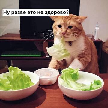 https://upforme.ru/uploads/001b/92/d8/151/t764035.jpg