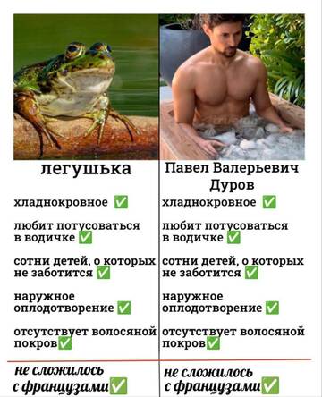 https://upforme.ru/uploads/001b/92/d8/151/t96086.jpg