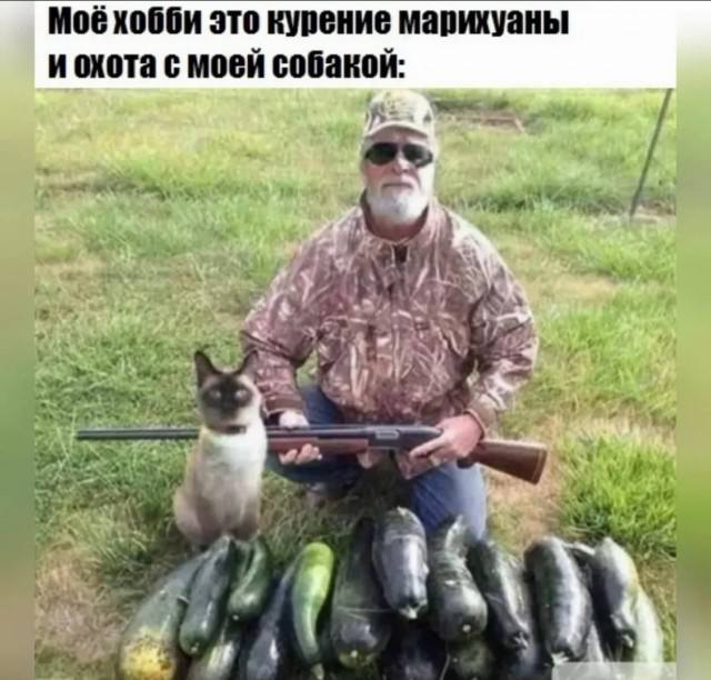 https://upforme.ru/uploads/001b/92/d8/16/638935.jpg