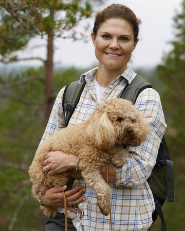 https://upforme.ru/uploads/001b/92/d8/1623/t118148.png