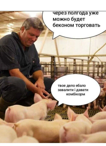 https://upforme.ru/uploads/001b/92/d8/1623/t477559.png