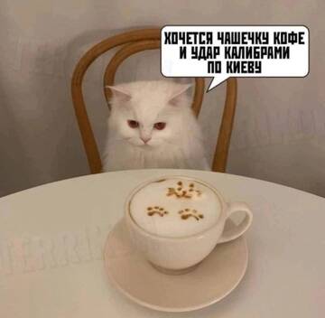 https://upforme.ru/uploads/001b/92/d8/1623/t48988.jpg
