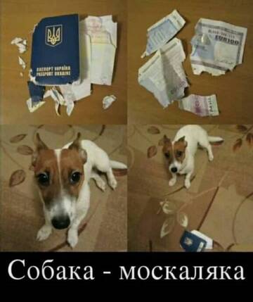 https://upforme.ru/uploads/001b/92/d8/1623/t658457.jpg