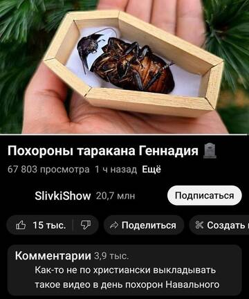 https://upforme.ru/uploads/001b/92/d8/1623/t676296.jpg