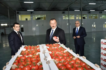 https://upforme.ru/uploads/001b/92/d8/1623/t899775.png