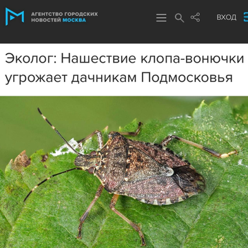 https://upforme.ru/uploads/001b/92/d8/1623/t962305.png