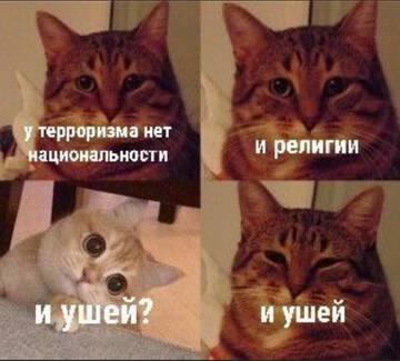 https://upforme.ru/uploads/001b/92/d8/1623/t967681.jpg