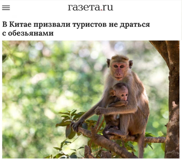 https://upforme.ru/uploads/001b/92/d8/1623/t990834.png