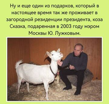 https://upforme.ru/uploads/001b/92/d8/163/t142581.jpg