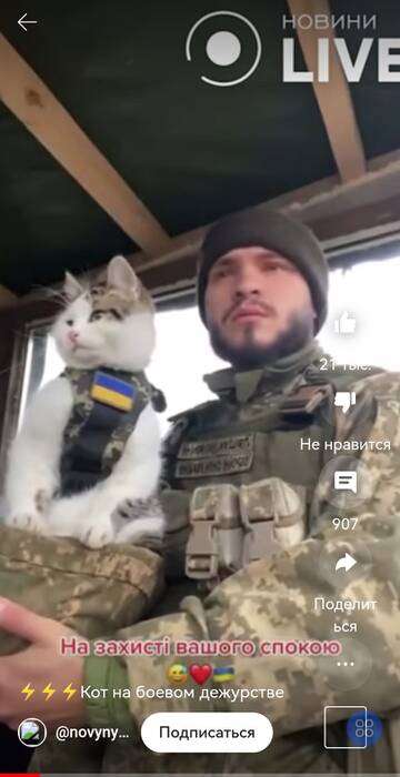 https://upforme.ru/uploads/001b/92/d8/163/t411665.jpg
