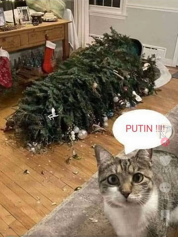 https://upforme.ru/uploads/001b/92/d8/1653/t137716.jpg
