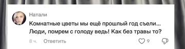 https://upforme.ru/uploads/001b/92/d8/1653/t664775.jpg