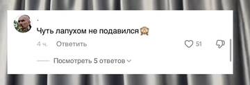 https://upforme.ru/uploads/001b/92/d8/1653/t754776.jpg