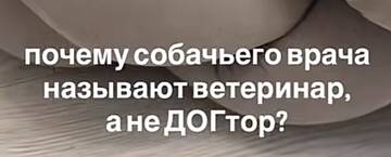 https://upforme.ru/uploads/001b/92/d8/1653/t820853.jpg