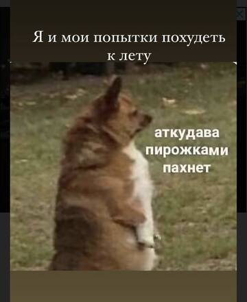 https://upforme.ru/uploads/001b/92/d8/1676/t158595.jpg