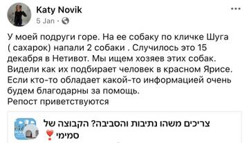 https://upforme.ru/uploads/001b/92/d8/1676/t490235.jpg