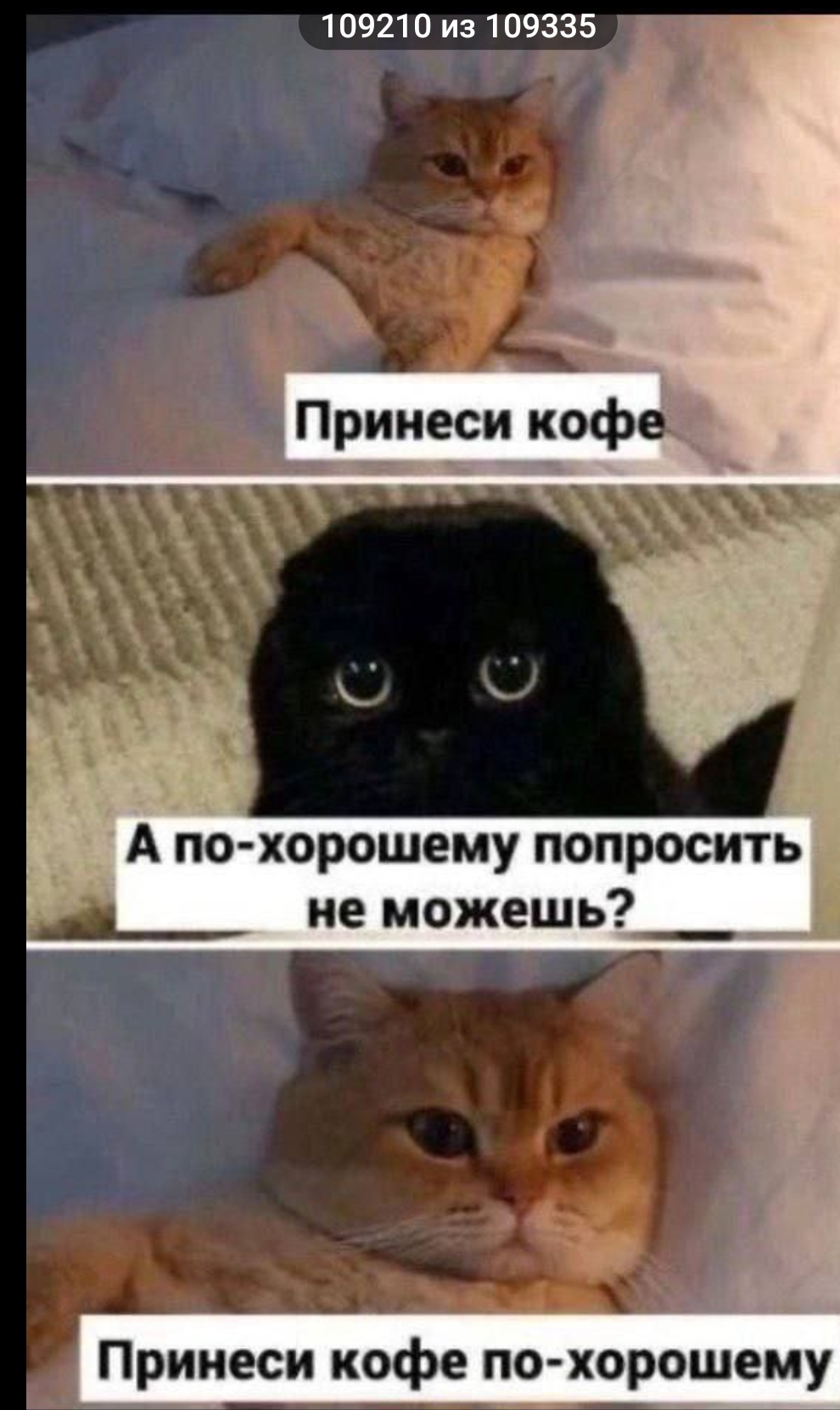 https://upforme.ru/uploads/001b/92/d8/169/314647.jpg