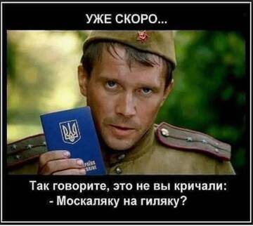 https://upforme.ru/uploads/001b/92/d8/169/t830805.jpg