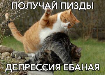 https://upforme.ru/uploads/001b/92/d8/172/t165789.jpg