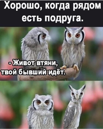 https://upforme.ru/uploads/001b/92/d8/172/t492911.png