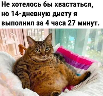 https://upforme.ru/uploads/001b/92/d8/172/t669211.jpg