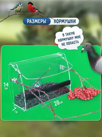 https://upforme.ru/uploads/001b/92/d8/172/t69530.webp