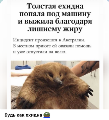 https://upforme.ru/uploads/001b/92/d8/172/t850092.png