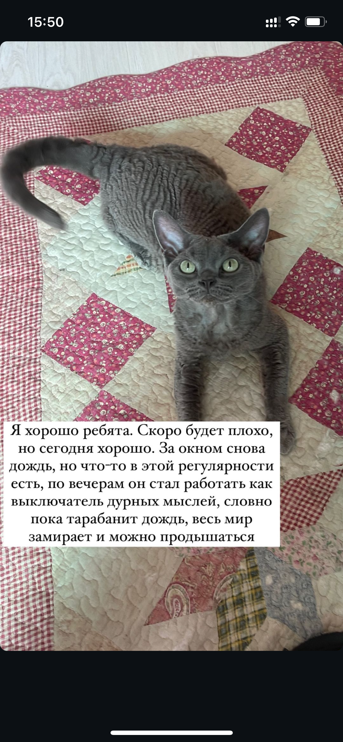 https://upforme.ru/uploads/001b/92/d8/1750/955866.png