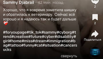https://upforme.ru/uploads/001b/92/d8/1750/t118754.jpg